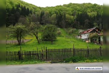 0e4f17aa-edbe-4446-9d79-bb41dc498644.jpg