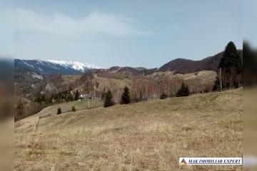 16263289_teren-in-dambovicioara-jud-arges-5801mp_5.jpg