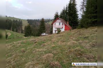 1_768.jpg