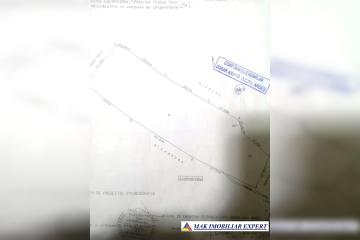 2fee212aa94c0e009b4bb764438ef26c.jpg