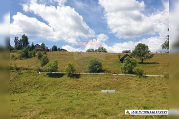 3416825_teren-intravilan-8244-mp-sat-ciocanu-com-dambovicioara_6.jpg