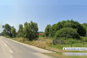 4-Copie_4.jpg