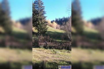 5914_1.jpeg