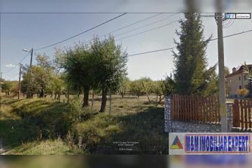6850_1.jpeg