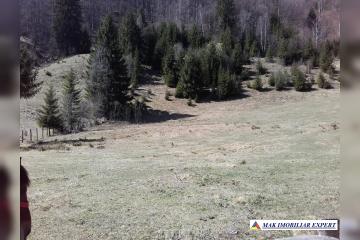 IMG-20190402-WA0006.jpg