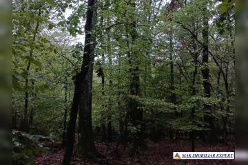 IMG-20260830-WA0001_1.jpg