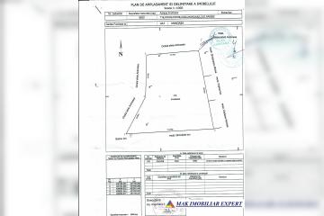 Padure-8500-pag1.jpg