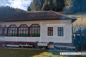 afd2f772-8db7-463f-a0f6-de14409762a6.jpg