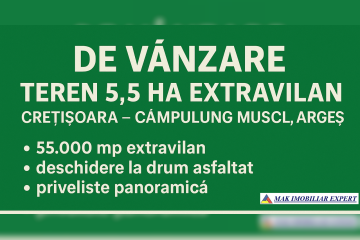 fb1141df-2e2a-4eeb-8348-ab197a05c0c6_1.png
