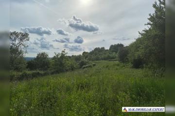 repo_26501_6a27336cb1224.jpg