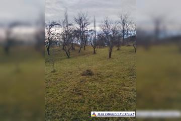repo_26681_6a4aa9d4acf36.jpg