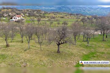 repo_26859_6a6e6239b4779.jpg