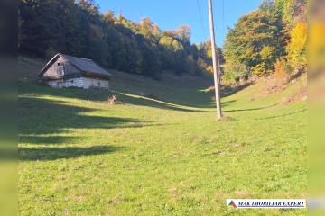 repo_27249_6abf795a78192.jpg